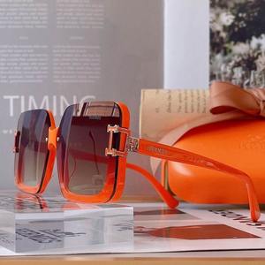 Hermes Sunglasses 2